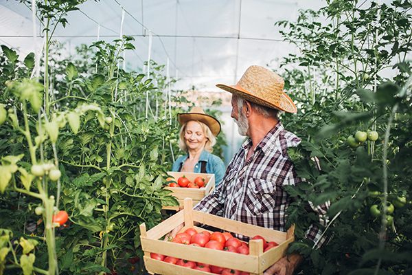 Succession planning can be tricky, and no one knows that like family farms. 