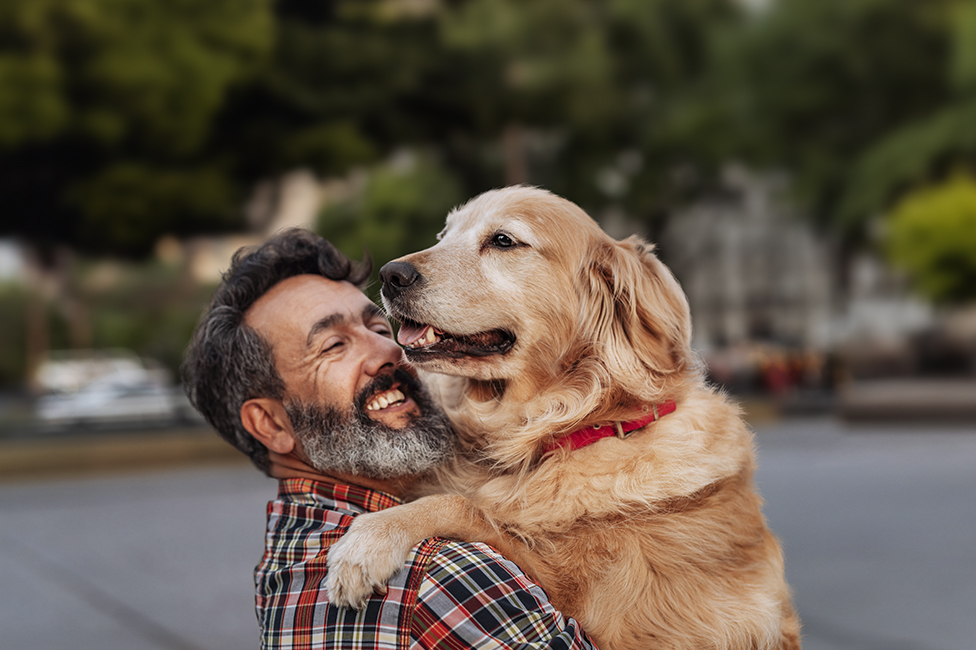 middle aged man hugging a very large and friendly golden retriever
