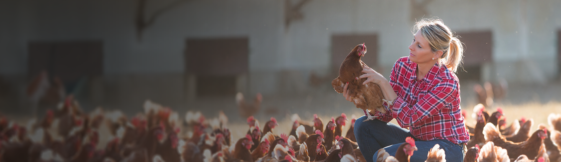 A woman holding a chicken surrounded by chicken